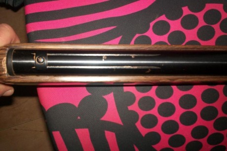 vendo norica marvic gold cal 4.5,en perfecto estado de funcionamiento,con mucha potencia,no puedo decir 12