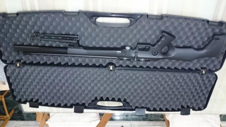 Hola, 

  Vendo la carabina de referencia,  trae como extras el extensor de deposito de aire, original 02