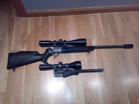 Acabo de comprar un monotiro y me viene con dos cañones en el mismo calibre(308w) pero uno tiene de largo 10