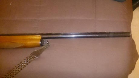 Vendo semi benelli 121, cal. 12/70,  70 de cañón y 2 estrellas fijas.
Las fotos las subo, en cuanto las 12