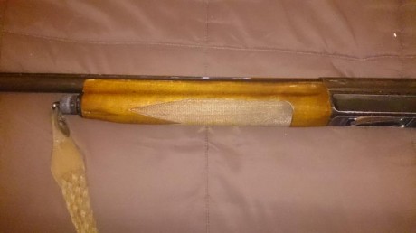 Vendo semi benelli 121, cal. 12/70,  70 de cañón y 2 estrellas fijas.
Las fotos las subo, en cuanto las 02