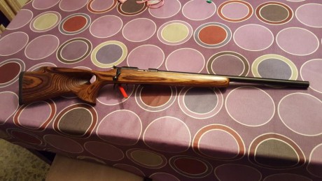 Pues eso ...
Vendo mi cz que para que no haya malos entendidos es tal como se describe aqui:

https://arminse.es/carabinas-ceska/363-ceska-455-thumbhole-varmint-.html

Precio 02