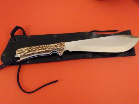 Dispongo para venta  pieza de Aitor Safari, en Sambar, (asta de venado indio). 

Precio  300 euros. Envío 01