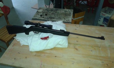 Hola muy buenas a todos armeros¡¡ Bueno escribo esto porque hace muy poco me he comprado una GAMO SHADOW 92