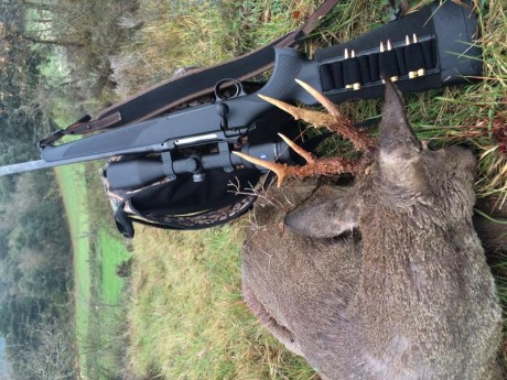  VENDIDO SE PUEDE CERRAR..¡¡¡ 
 en venta mi sauer 101 xt 22-250, estado perfecto.
Ha disparado 228 veces. 30
