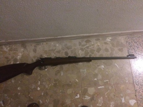 cz cal 22 lr con rosca homologada 
400€ 01