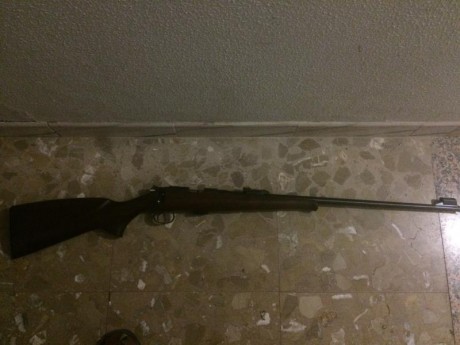 cz cal 22 lr con rosca homologada 
400€ 00