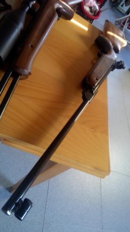 Hola, saco a la venta una de mis joyas, una lg55 culata tyrolesa años 60 en estado de origen, funcionando 02