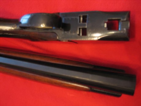 Año 1964, cañón de 76 cm, chokes fijos **/*, banda de 8 mm, punto de mira easy heat, disparador único 12