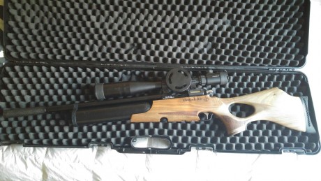 Vendo daystate airwolf calibre 4,5 con mira 6x25x50, caja estanca, cargador extra, calibrador, boquilla 02
