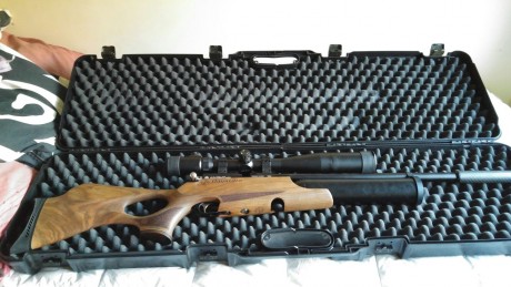 Vendo daystate airwolf calibre 4,5 con mira 6x25x50, caja estanca, cargador extra, calibrador, boquilla 00