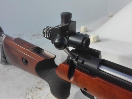 Se pone en venta, por cuenta del propietario Rifle Gruning LW III calibre 6 mm Norma Br, estriado en perfecto 01