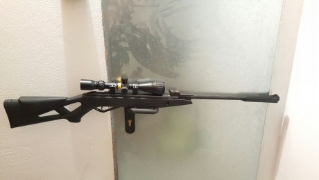Hola
Mi amigo me encarga otra vez que ponga a la venta lo que le va quedando por pasarse a PCP.

Pistola 11