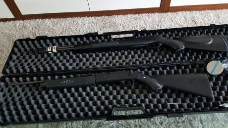 Hola
Mi amigo me encarga otra vez que ponga a la venta lo que le va quedando por pasarse a PCP.

Pistola 10