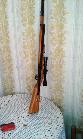 Hola,

  Estoy buscando una carabina Norinco JW 25, a secas, sin la A.

  Me estoy refiriendo al modelo 31