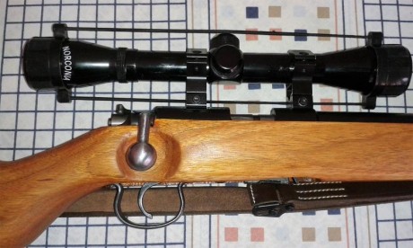 Hola,

  Estoy buscando una carabina Norinco JW 25, a secas, sin la A.

  Me estoy refiriendo al modelo 30