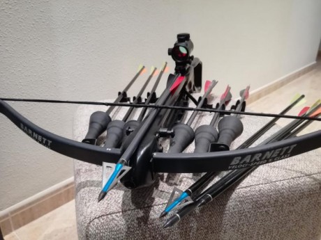 Se vende ballesta barnett 150 lb recurva con 11 flechas, tres puntas de caza mayor, cargador asistido, 02