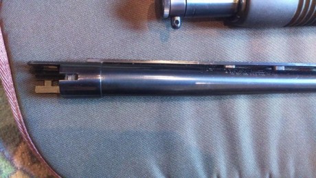 Mossberg-Maverick con dos caňones, uno corto cilíndrico y uno de caza con 4 chockes y solista ventilada.
Muy 31