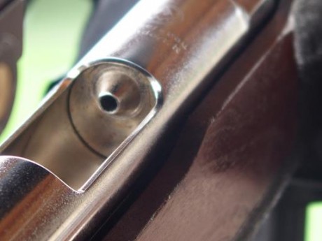 Vendo esta maravillosa carabina por no usarla. Tiene una precision increible y perfora las dianas con 02