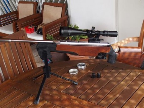 Vendo esta maravillosa carabina por no usarla. Tiene una precision increible y perfora las dianas con 00