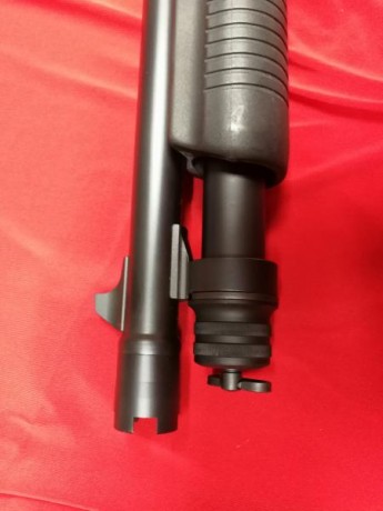 Buenas compañeros. 
Aquí os presento mi Stinger Tactical de corredera.  Una escopeta del calibre 12/76 20