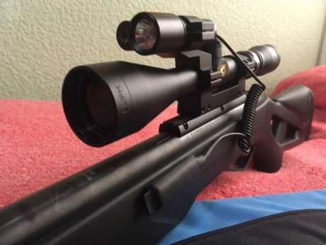 Carabina Rifle Gamo Whisper X de Aire Comprimido. Escopeta de Perdigones, calibre 5. 5, con visor Gamo 41