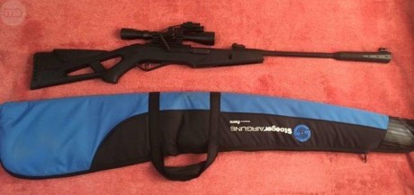 Carabina Rifle Gamo Whisper X de Aire Comprimido. Escopeta de Perdigones, calibre 5. 5, con visor Gamo 40