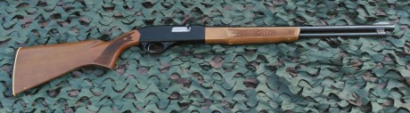 Vendo Carabina del 22 LR, Winchester modelo 290.

Tiene años, pero esta muy bien cuidada y el funcionamiento 01