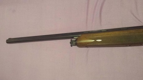 Vendo escopeta Beretta 303 con choke interio precio 325 mas portes si hubiera que enviar el arma esta 02