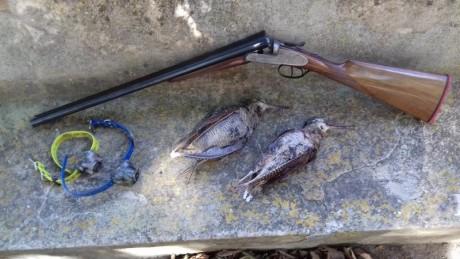 Ugartechea modelo 110 calibre 12 para la caza de becada.  Cañon de 62 cm.Cañón derecho estriado y izquierdo 82