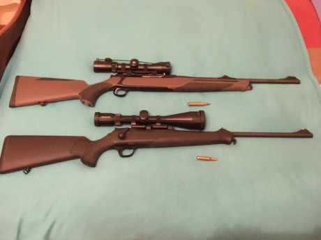 Buenas tardes, mi idea era comprar unas monturas originales para el Blaser, pero he visto estas y no se 50