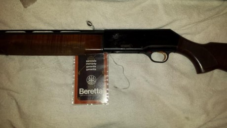 Vendo escopetas una superpuesta marca fabarm galesi calibre 12 y otra semiautomática marca Beretta a304 00