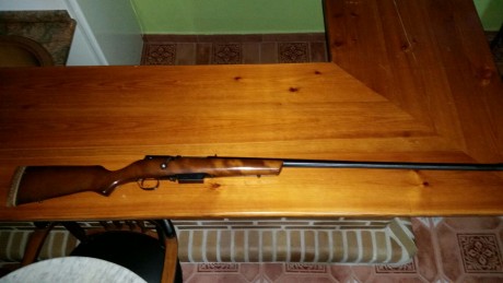 Un amigo me pide que le ponga este anuncio:
Se vende escopeta de cerrojo, marca MARLIN, calibre 12 (ampliando 11