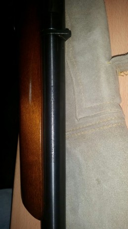 Un amigo me pide que le ponga este anuncio:
Se vende escopeta de cerrojo, marca MARLIN, calibre 12 (ampliando 10