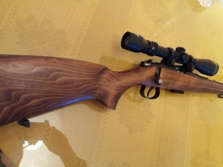 Vendo carabina CZ 513 Farmer, cal 22lr, provista de visor 3-9x40, puesta a tiro. El estado es excelente, 10