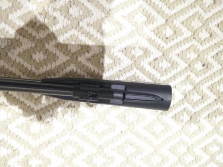 se vendre gamo whisper IGT 4,5.
està en perfectas condiciones,
No se ha tirado ni una caja entera de balines, 00
