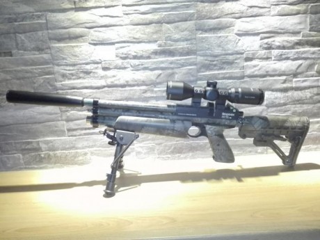 Tuneado de marauder pistols
Doble cañón recortado.
Cañón HW mecanizado 
Culata retráctil
Color camuflaje
Modificado 00