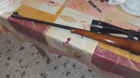 Vendo dos carabinas del 22 LR, una es una brno del año 67, estas carabinas estaban muy buscadas por su 01