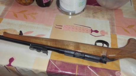 Vendo dos carabinas del 22 LR, una es una brno del año 67, estas carabinas estaban muy buscadas por su 00