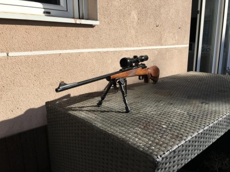 Vendo mi estupendo rifle mauser 66sm 300 wm cañón equipado con magnaport.
Monogatillo con pelo francés.
Monturas 51