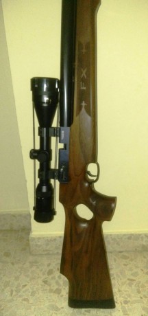 SE VENDE POR NO USAR, EL ARMA TIENE UN AÑO, POCO USADA Y CON UN AÑO MAS DE GARANTIA, TIENE ALARGADOR DE 01