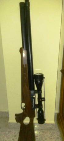SE VENDE POR NO USAR, EL ARMA TIENE UN AÑO, POCO USADA Y CON UN AÑO MAS DE GARANTIA, TIENE ALARGADOR DE 00