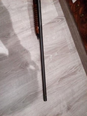 Buenas vendo escopeta corredera marca boito brazil choque de  1 estrellas cañon 180€ 12