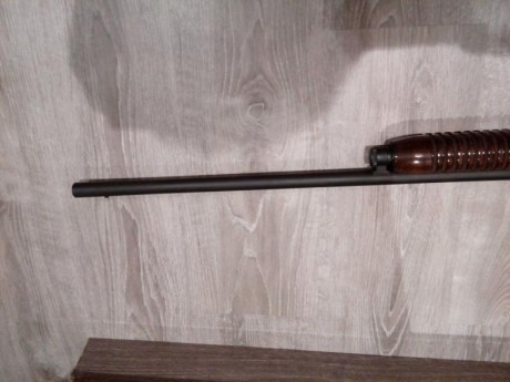 Buenas vendo escopeta corredera marca boito brazil choque de  1 estrellas cañon 180€ 22