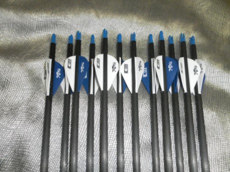 vendo 12 flechas maximal carbon edge en calibre 400 y cotadas a 26 pulgadas , solo se an usado un par 00