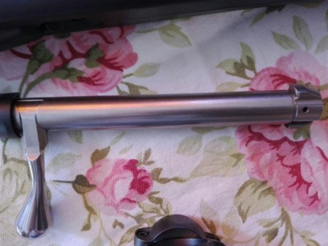 Vendo Tikka T3 Litte . 300 WM en perfectas condiciones, , tan solo ha tirado 10 balas. Incluido bases 10