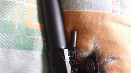 Hola buenas he adquirido hace poco un sauer 202 .y ayer queria sacar la culata y guardamanos para reparar 142