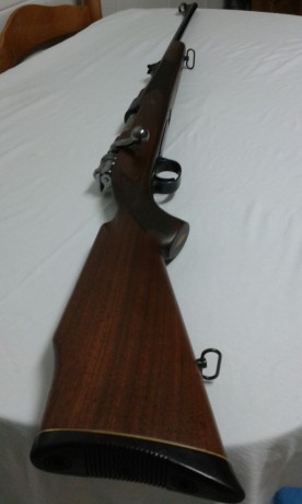 Hola  compañeros de caza

Lunes o martes me compro mi primer rifle... Necesito ayuda he estado mirando 170