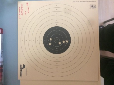 Me he comprado una Gamo compac y me ha sorprendido, después de empezar en este mundillo en Standar, me 02