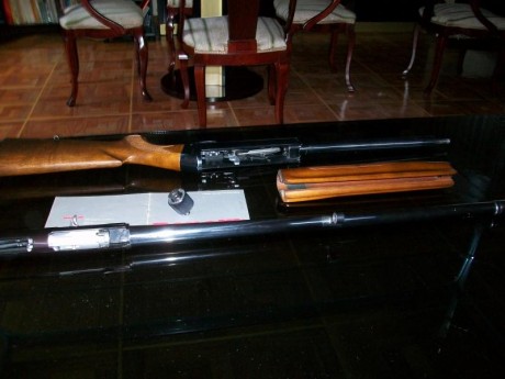 En Madrid vendo escopeta BENELLI SL 121, cal. 12/70, considerada una de las mejores escopetas semiautomáticas, 00